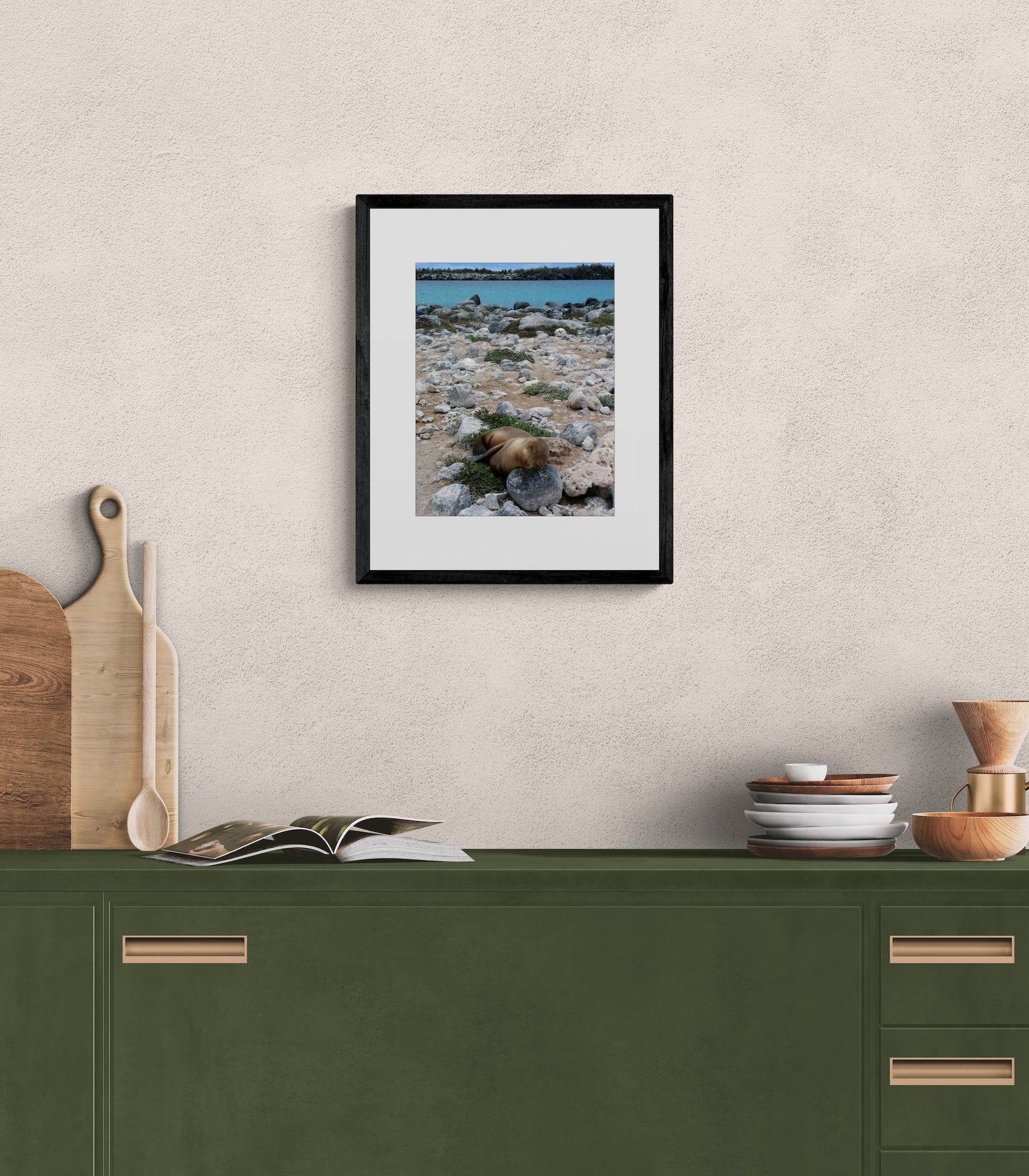 Sleeping Sea Lion Pup: Galapagos Wildlife Photography Print, UNESCO Heritage Nature Wall Art