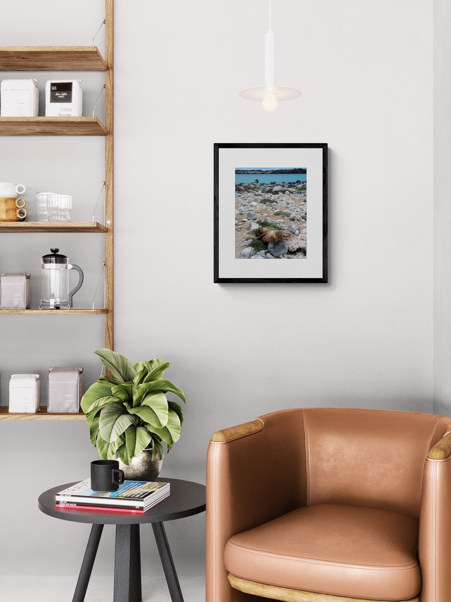 Sleeping Sea Lion Pup: Galapagos Wildlife Photography Print, UNESCO Heritage Nature Wall Art