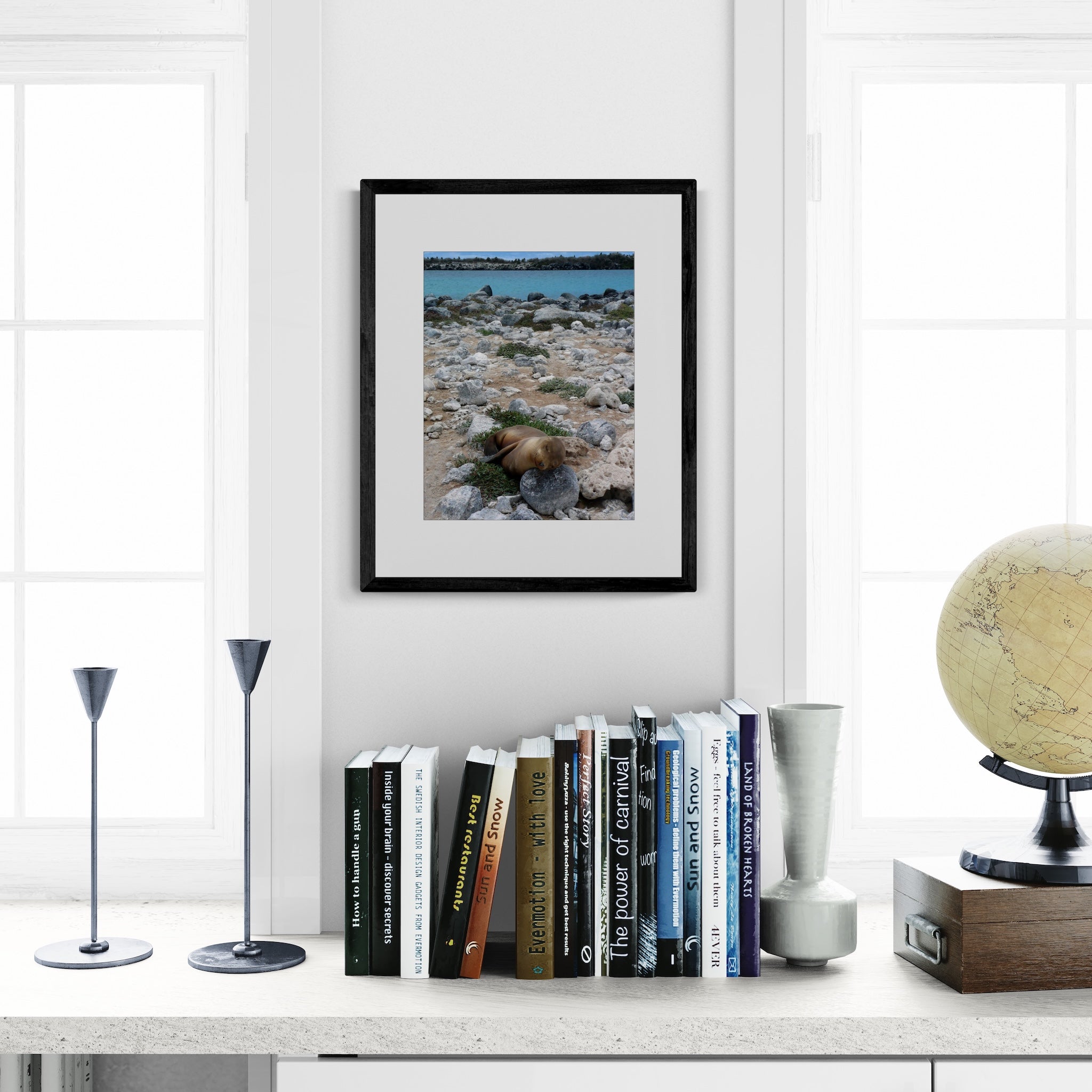 Sleeping Sea Lion Pup: Galapagos Wildlife Photography Print, UNESCO Heritage Nature Wall Art