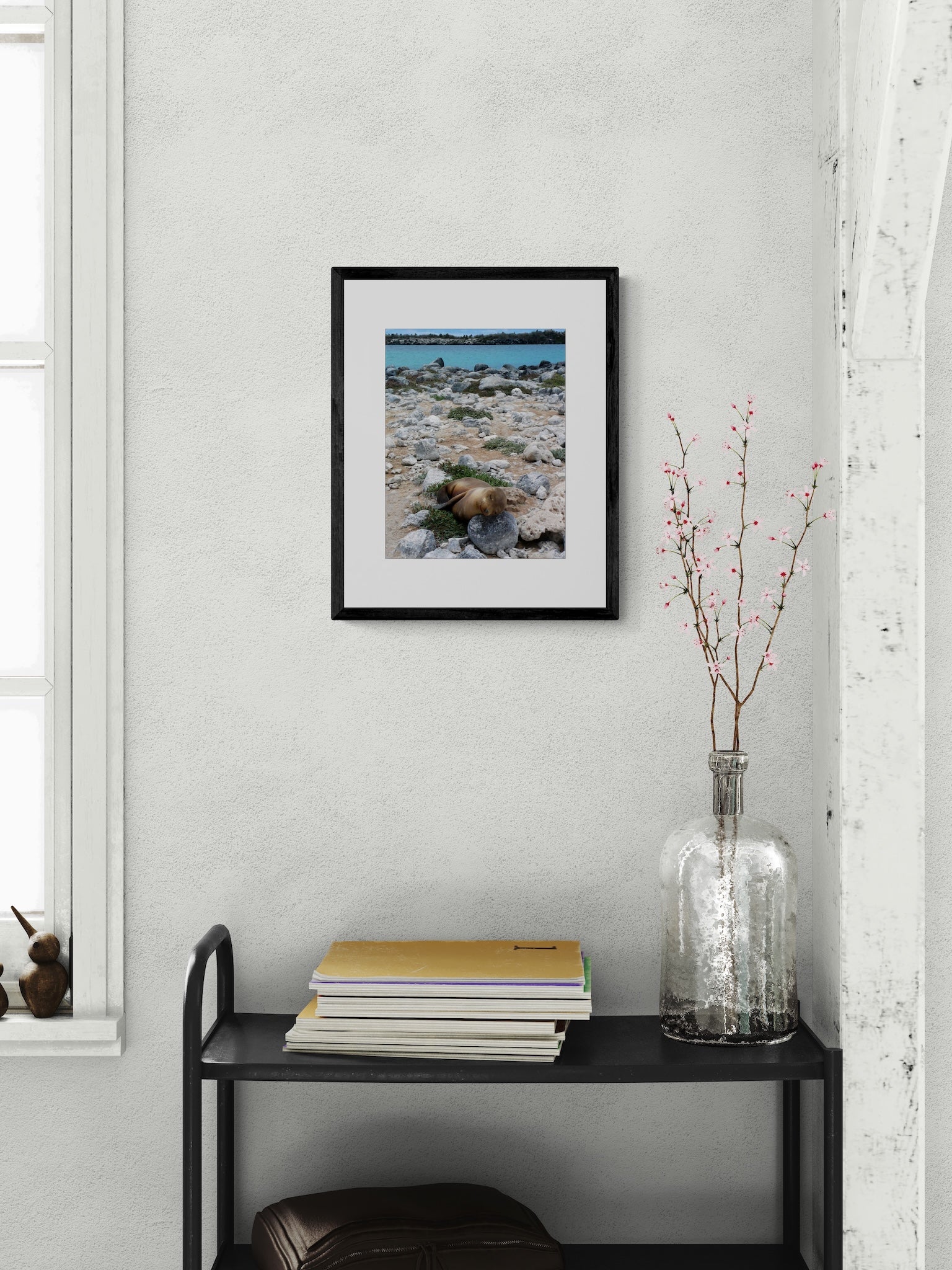 Sleeping Sea Lion Pup: Galapagos Wildlife Photography Print, UNESCO Heritage Nature Wall Art