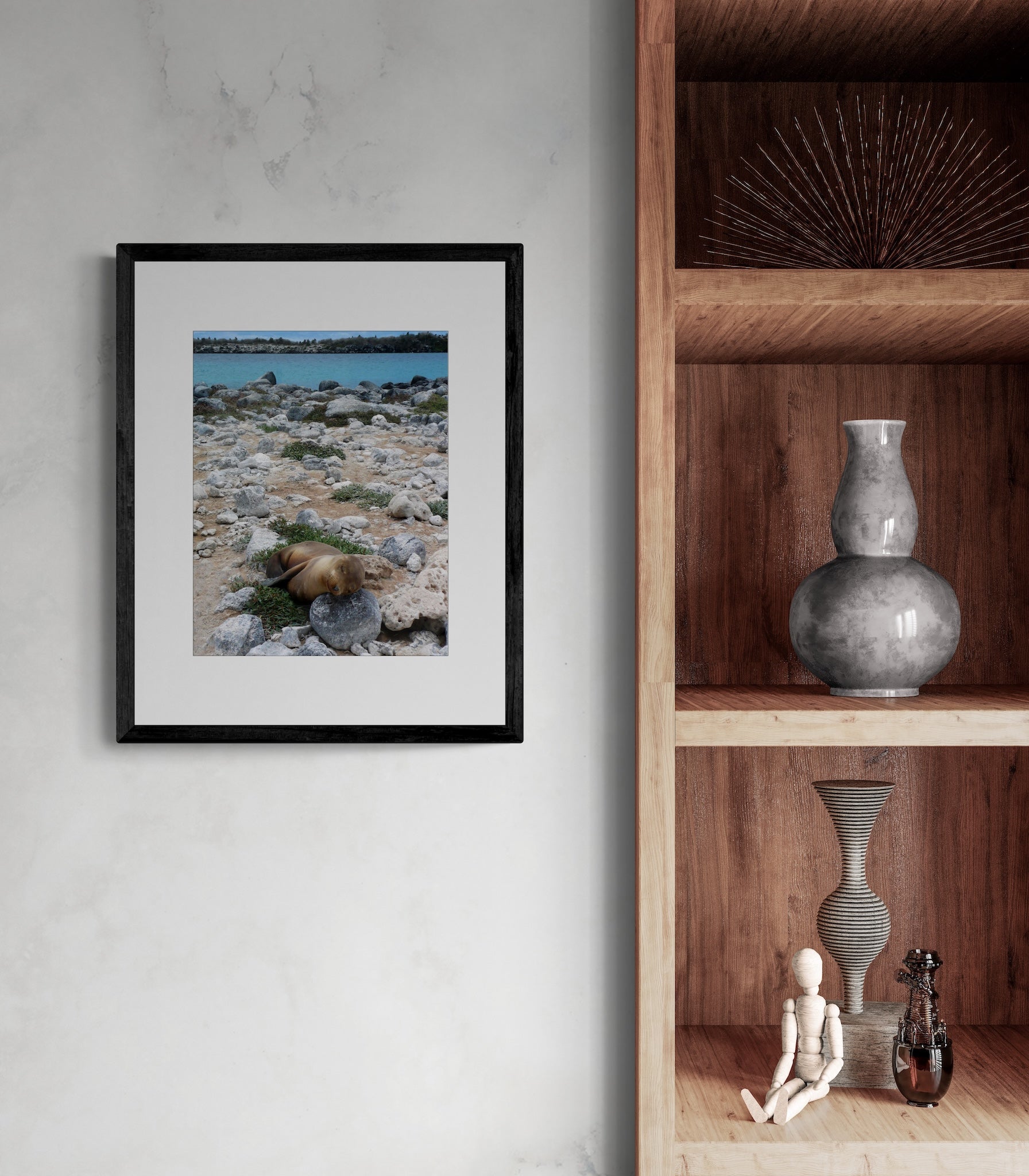 Sleeping Sea Lion Pup: Galapagos Wildlife Photography Print, UNESCO Heritage Nature Wall Art