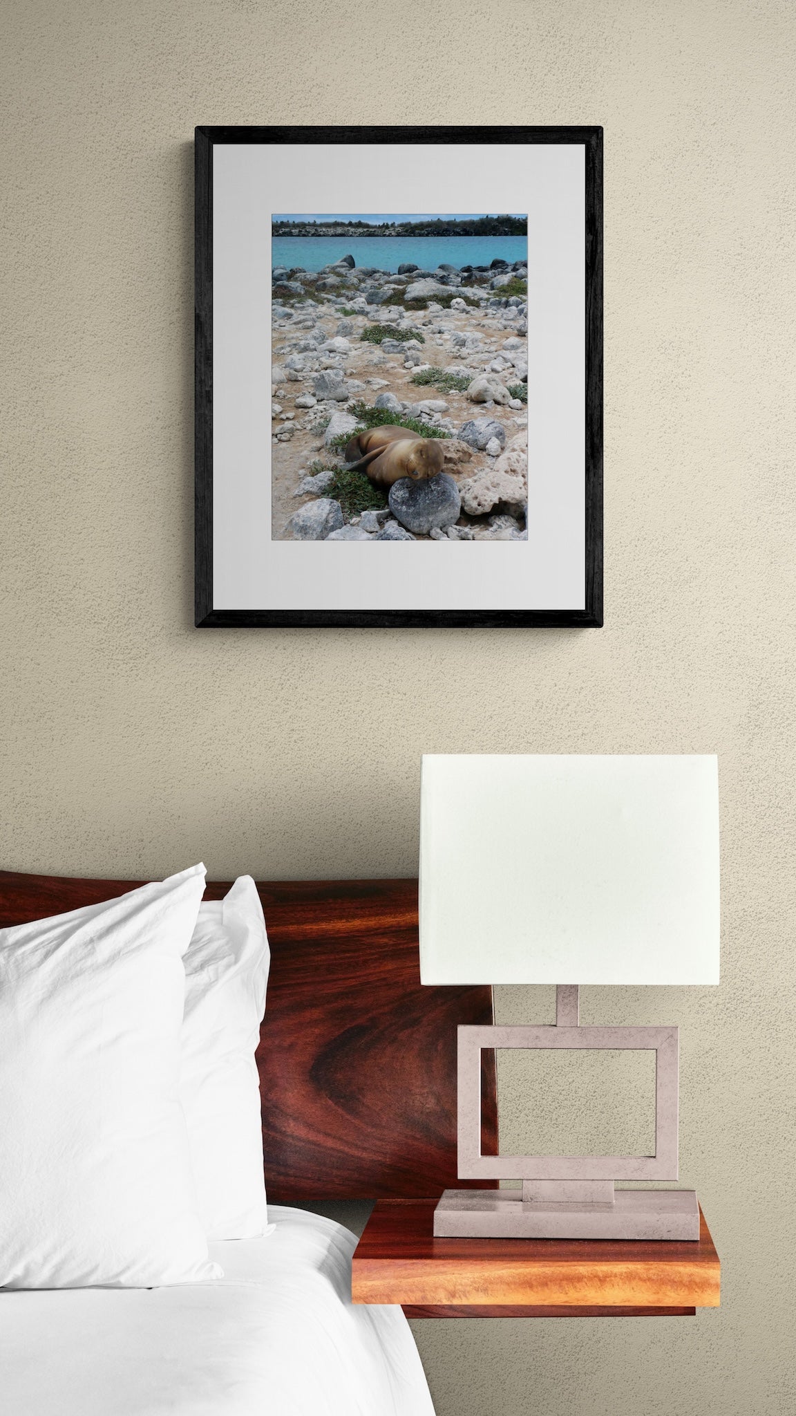 Sleeping Sea Lion Pup: Galapagos Wildlife Photography Print, UNESCO Heritage Nature Wall Art