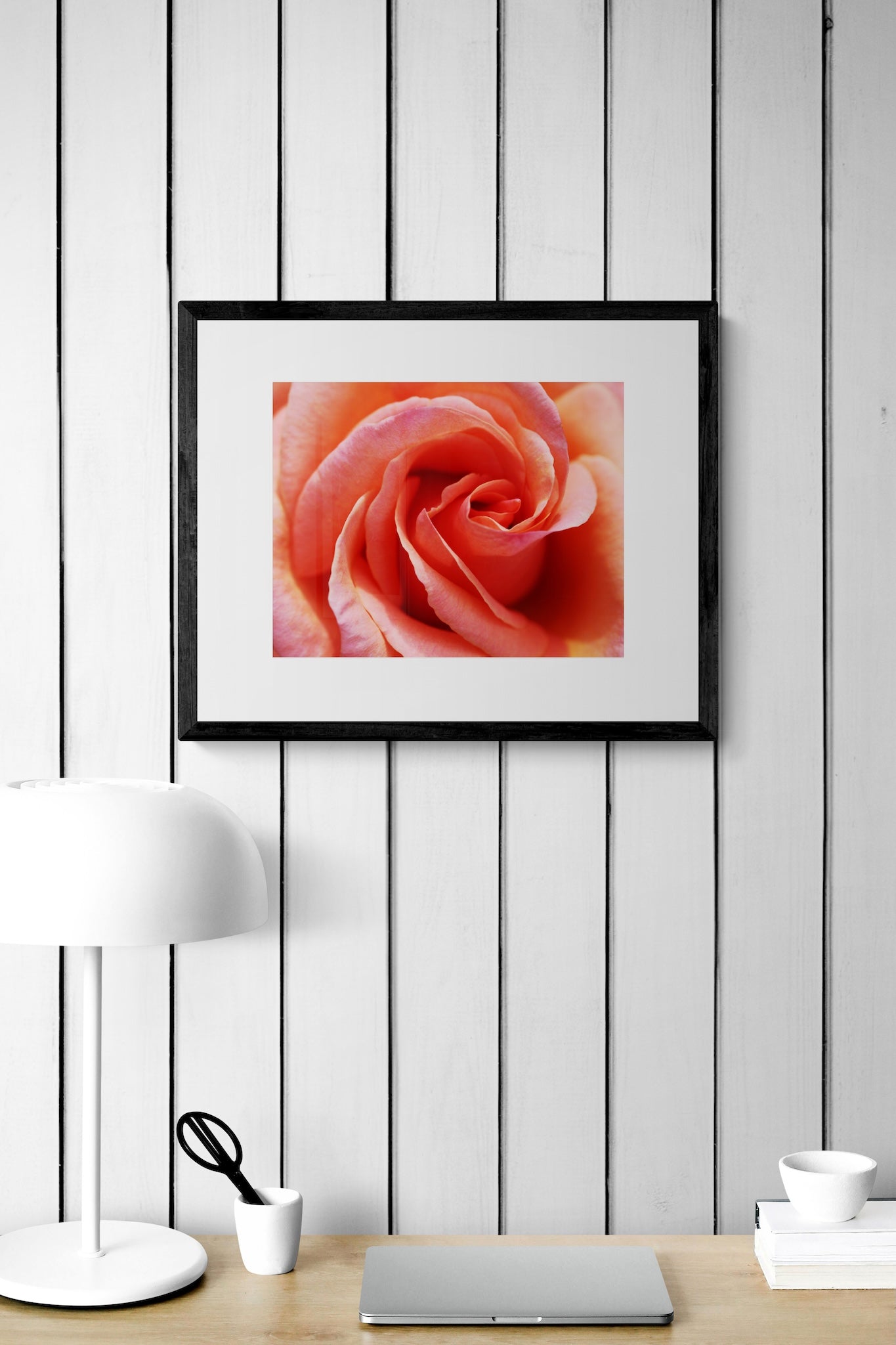 Copenhagen Pink Rose Wall Art: Soft Pastel Botanical Photography Print
