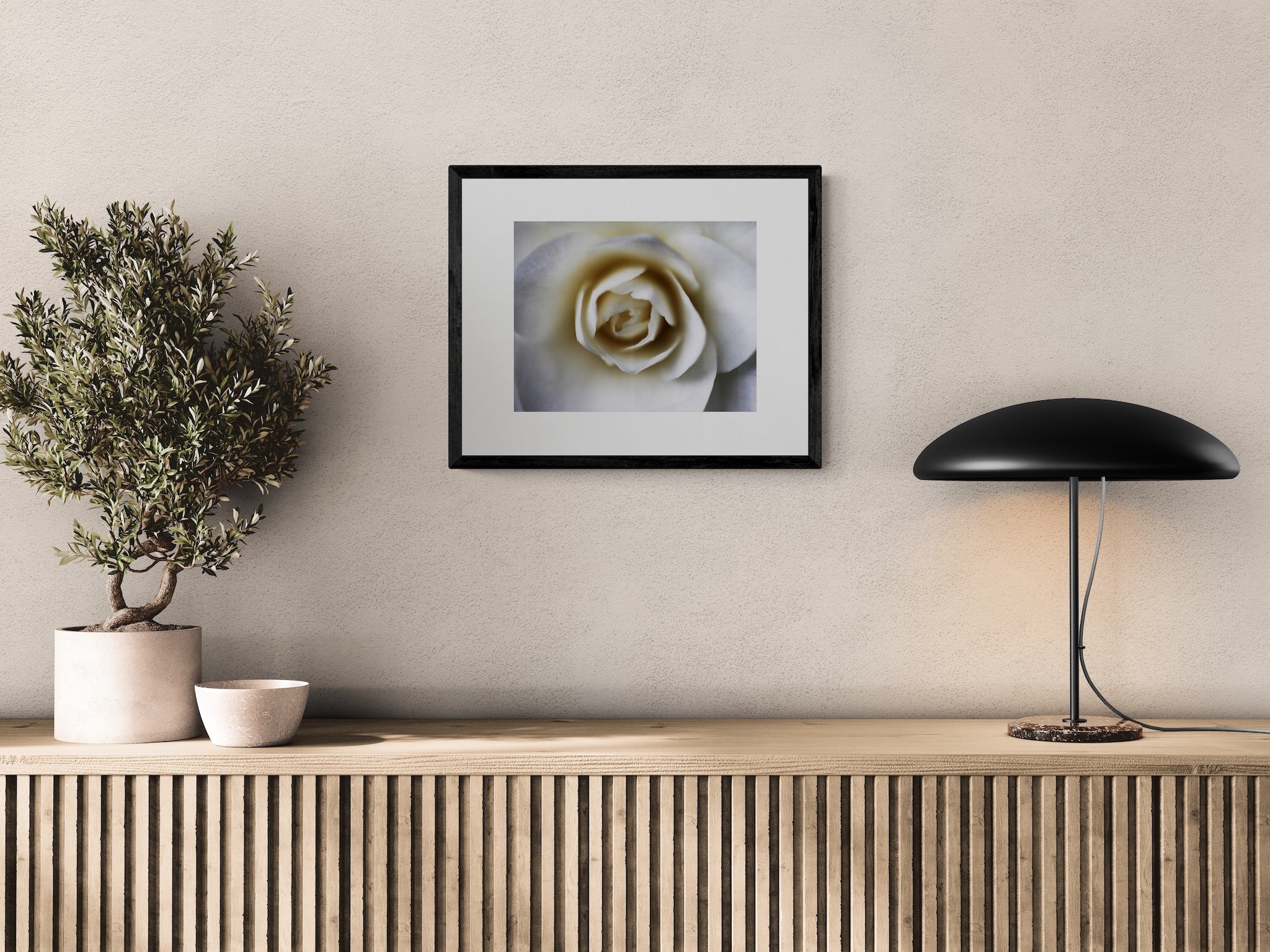 Portland White Rose Wall Art: Elegant Botanical Photography Print